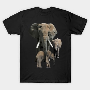 Elephantmama with Babys - Elephant in Africa T-Shirt